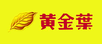 黄金叶logo